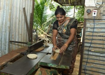 ग्रामिण भागातील यशस्वी उद्योजिका